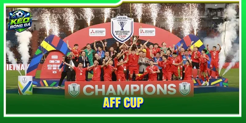 AFF Cup - Hành Trình Đi Tìm Ngôi Vương Bóng Đá Đông Nam Á