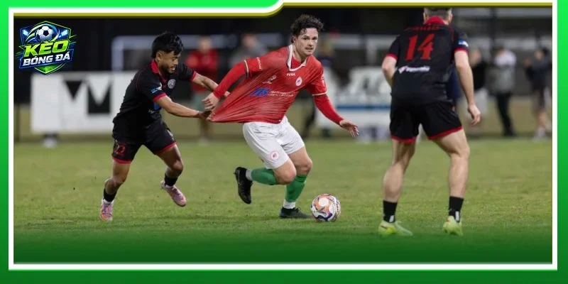 Cả St George Saints vs Blacktown City sẽ ra sân với đầy đủ đội hình cho trận mở màn