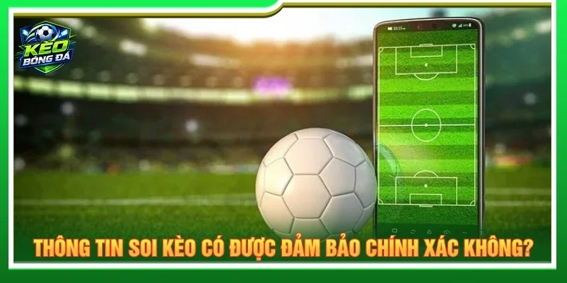 Các bài nhận định được xây dựng dựa trên những yếu tố thực tế