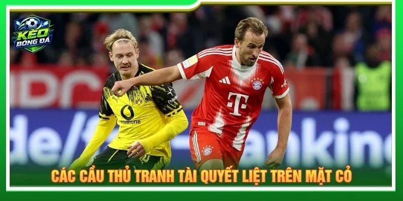 Các cầu thủ tranh tài quyết liệt trên mặt cỏ
