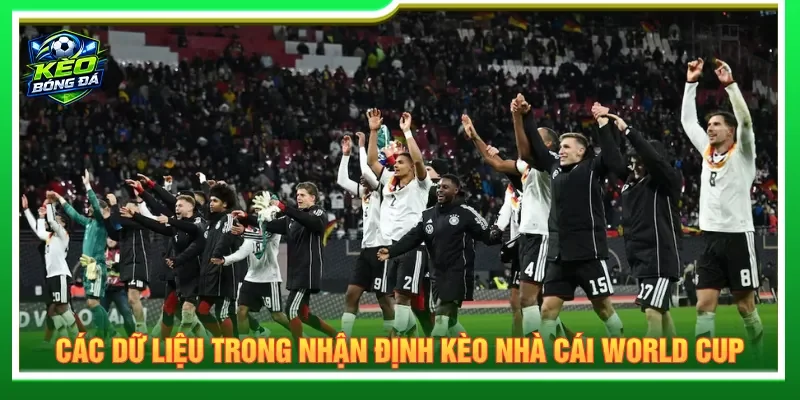 Cần tham khảo dữ liệu nhận định kèo nhà cái World Cup