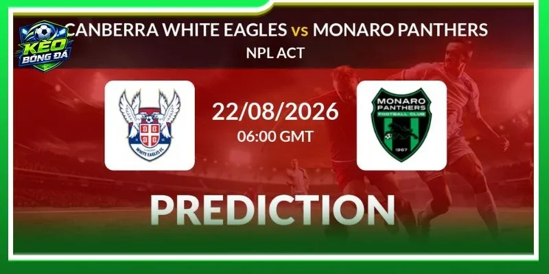 Canberra White Eagles vs Monaro Panthers khuyết thiếu vài vị trí song đã có phương án bổ sung