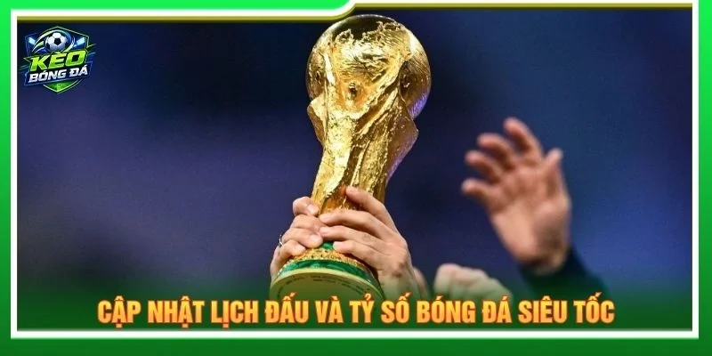 Cập nhật lịch đấu và tỷ số bóng đá siêu tốc