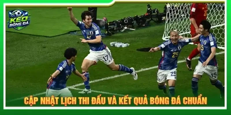 Cập nhật lịch thi đấu và kết quả bóng đá chuẩn