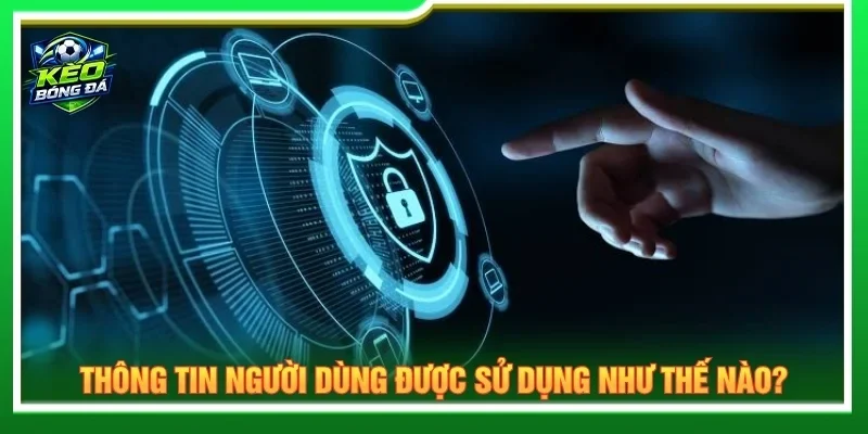 Chính sách bảo mật cam kết bảo vệ thông tin người dùng