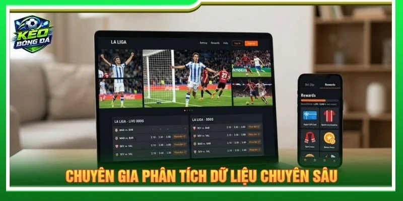 Chuyên gia phân tích dữ liệu chuyên sâu