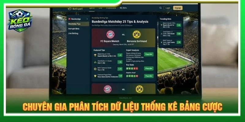 Chuyên gia phân tích dữ liệu thống kê bảng cược