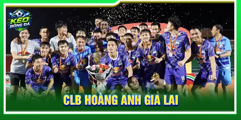 CLB Hoàng Anh Gia Lai Và Hành Trình Bứt Phá Bóng Đá Việt