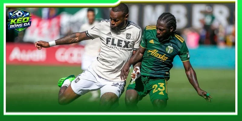 Lịch sử đối đầu Los Angeles FC vs Portland Timbers cho thấy hai đội có nhiều cạnh tranh khốc liệt