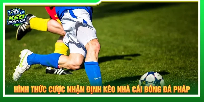 Đầy đủ các kèo nhà cái để người chơi đặt cược dễ thắng lớn