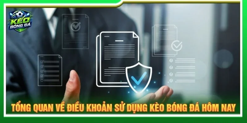 Điều khoản sử dụng thiết lập những quy định chung khi truy cập website