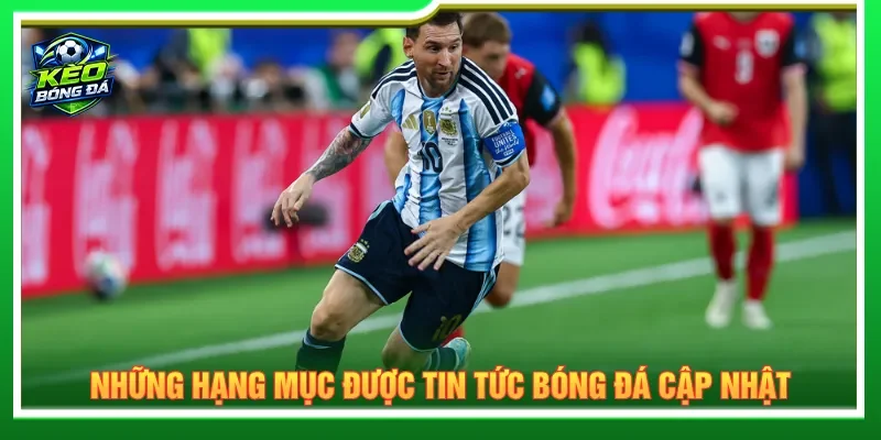Fan hâm mộ dễ dàng soi kèo nhà cái với các dữ liệu bóng đá