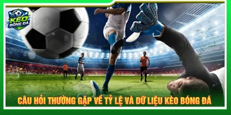 Giải đáp câu hỏi về tỷ lệ kèo bóng đá tại website