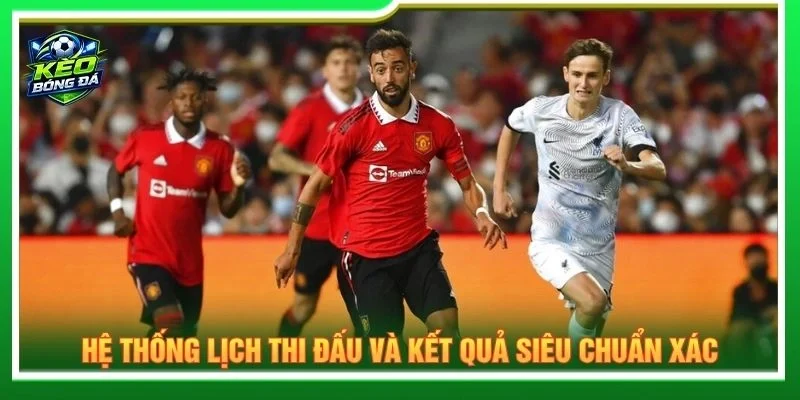 Hệ thống lịch thi đấu và kết quả siêu chuẩn xác