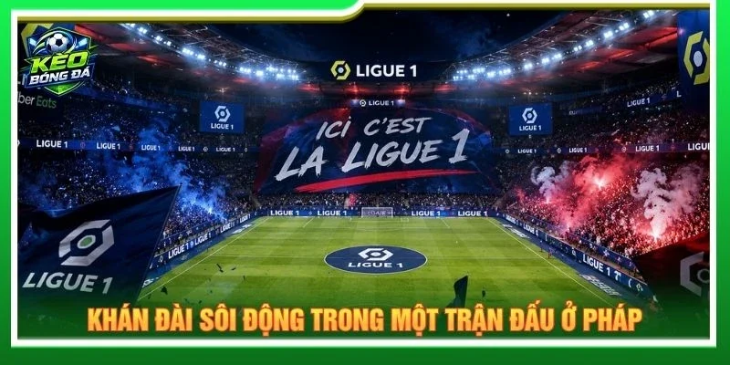Khán đài sôi động trong một trận đấu ở Pháp
