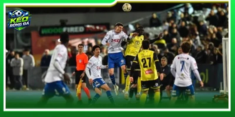 Lịch sử đối đầu Canberra Olympic vs Brindabella đang nghiêng rất lớn về đội chủ nhà