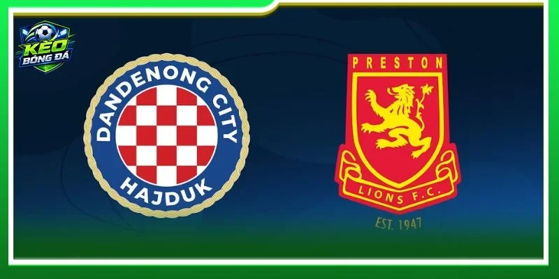 Lịch sử đối đầu Dandenong City vs Preston Lions nghiêng nhẹ về đội chủ nhà