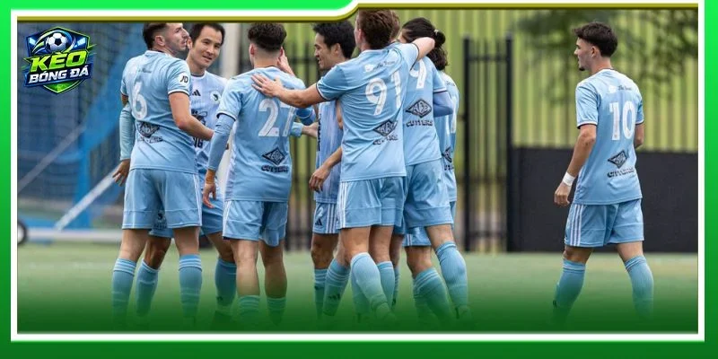 Sutherland Sharks đang có nhiều lợi thế và có cơ hội thắng lớn