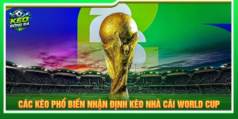 Mỗi mức tỷ lệ người chơi cần đối chiếu dữ liệu để đặt cược