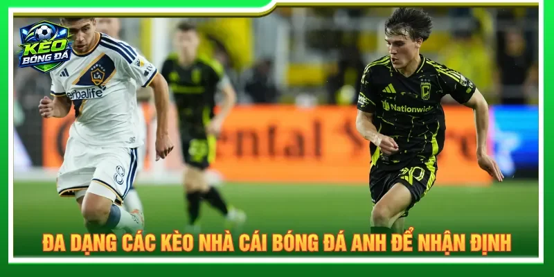 Nắm rõ thông tin về sân nhà và sân khách để vào kèo cược