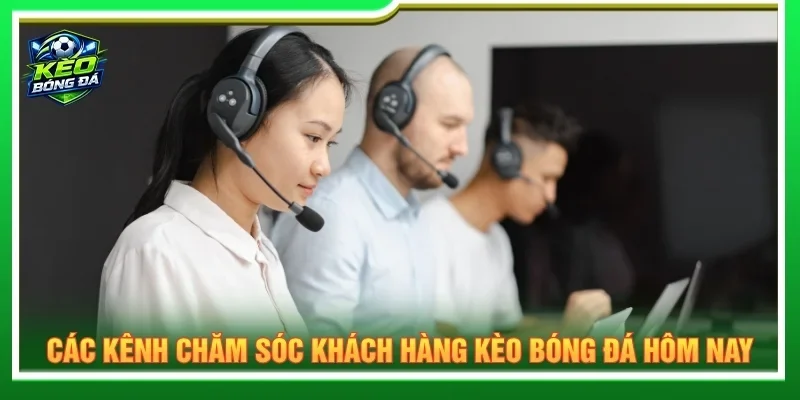 Nền tảng cung cấp nhiều kênh liên hệ chính thức