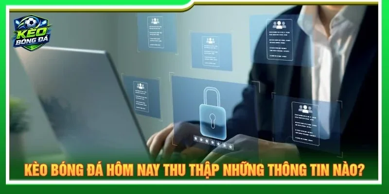 Nền tảng thu thập những thông tin cần thiết của người dùng khi truy cập website