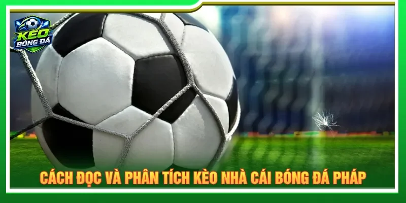 Người chơi cần biết cách đọc và phân tích kèo bóng đá Pháp