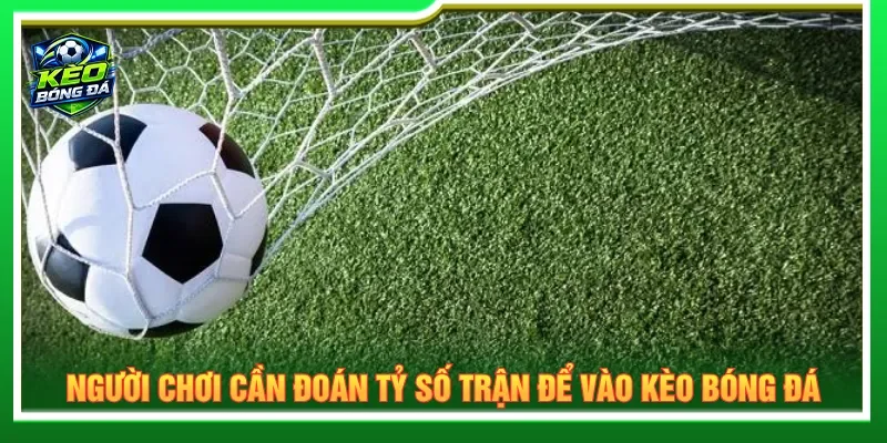 Người chơi cần dự đoán tổng bàn thắng hợp lý để vào kèo