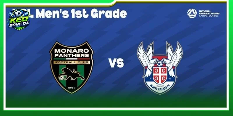 Nhận định Canberra White Eagles vs Monaro Panthers với lịch sử đối đầu nghiêng về đội khách