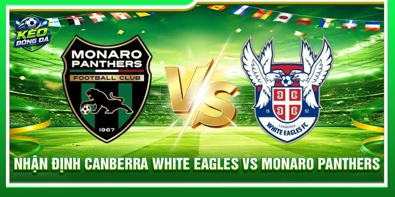 Nhận định Canberra White Eagles vs Monaro Panthers - 13h00, 22/08