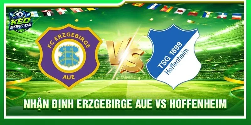 Nhận Định Erzgebirge Aue vs Hoffenheim - Lúc 20h30, 22/08