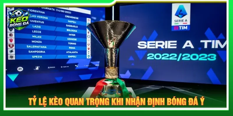 Nhận định kèo nhà cái bóng đá Italia xác định tỷ lệ
