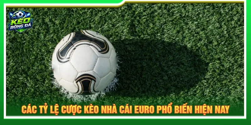 Nhận định kèo nhà cái Euro cung cấp nhiều hình thức cược