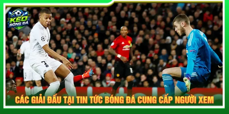 Nhiều giải đấu hàng đầu được cập nhật trong tin tức bóng đá