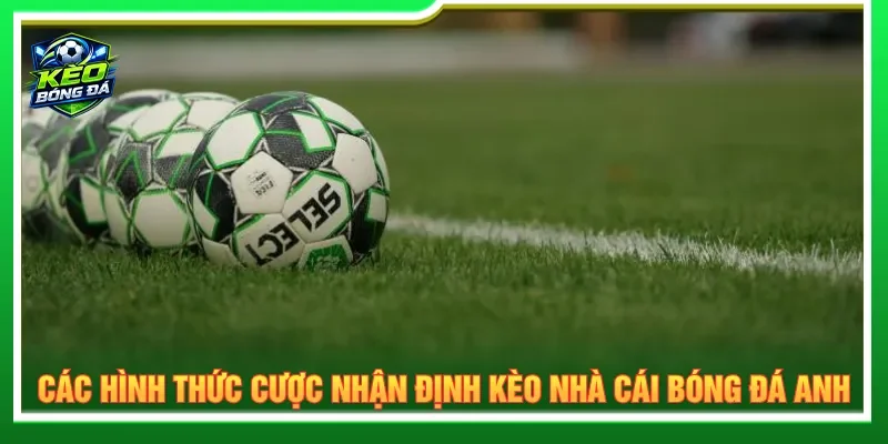 Nhiều kèo cược để người chơi áp dụng để nhận định dễ dàng