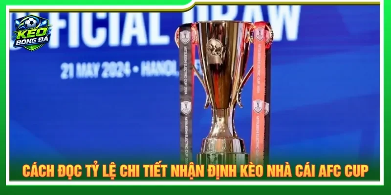 Nhiều mức tỷ lệ cung cấp giúp soi kèo bóng đá dễ dàng
