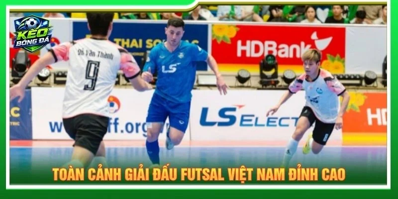 Toàn cảnh giải đấu Futsal Việt Nam đỉnh cao