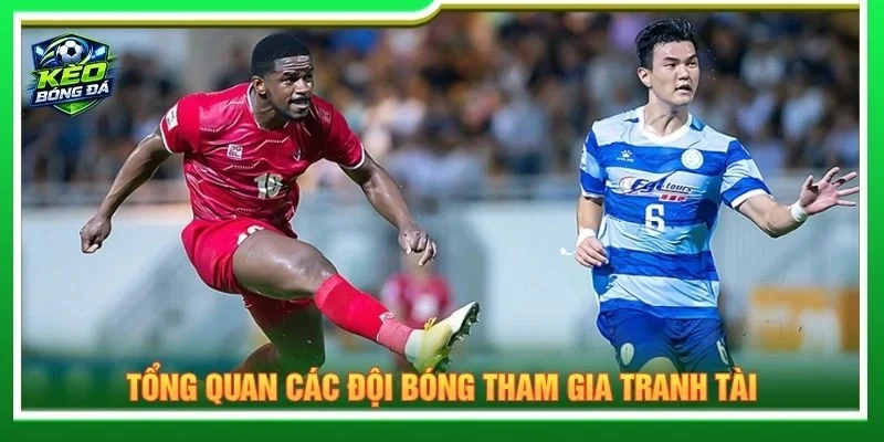 Tổng quan các đội bóng tham gia tranh tài