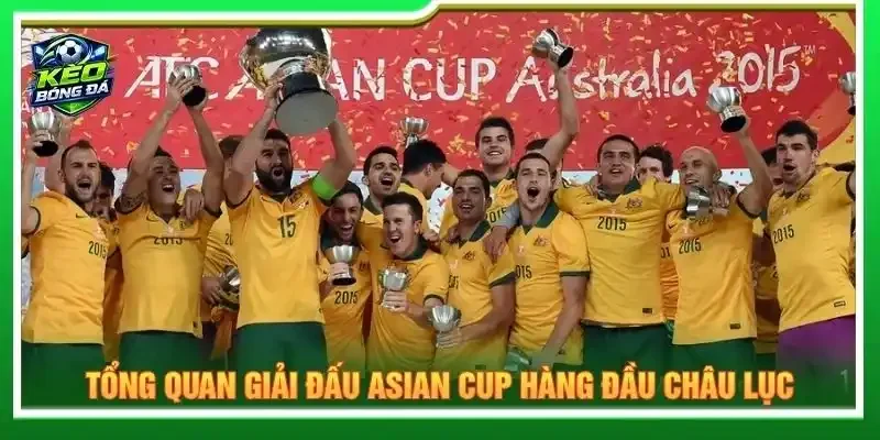 Tổng quan giải đấu ASIAN Cup hàng đầu châu lục