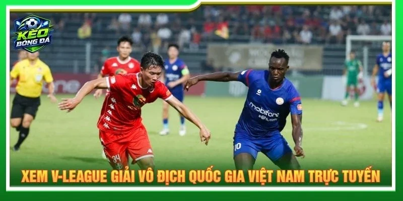 Xem V-League giải vô địch quốc gia Việt Nam trực tuyến