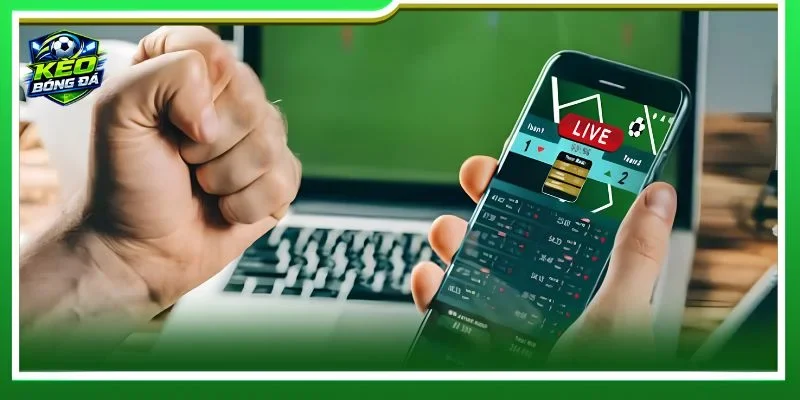 Bỏ túi lưu ý nhỏ để là người chơi không bao giờ vi phạm luật 
