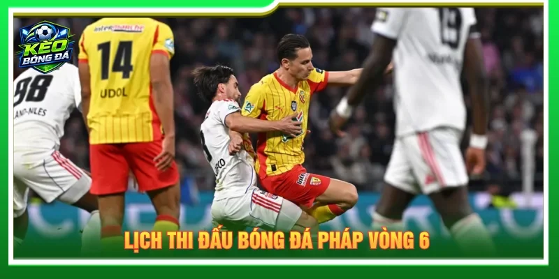 Lịch thi đấu bóng đá Pháp cập nhật vòng 6 nhanh chóng