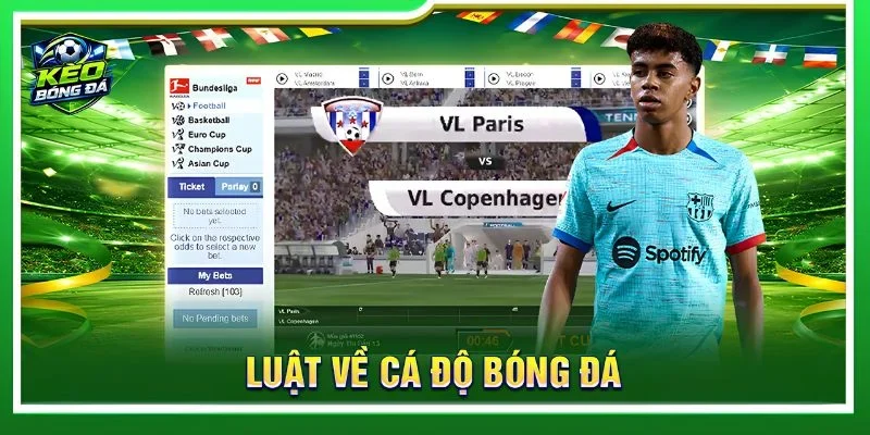 Luật Về Cá Độ Bóng Đá - Hé Lộ Những Điều Mà Bạn Nên Biết