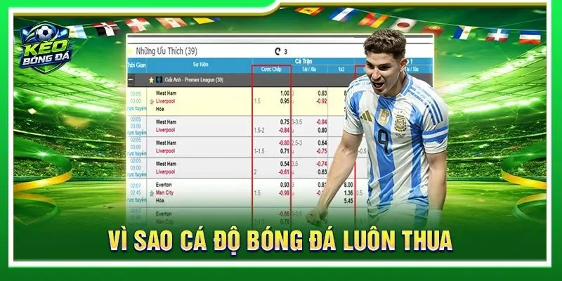 Vì Sao Cá Độ Bóng Đá Luôn Thua? Nguyên Nhân Cần Biết